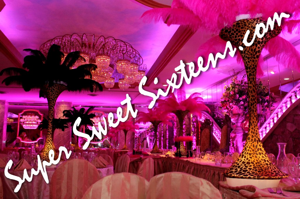 sweet sixteen party ideas themes